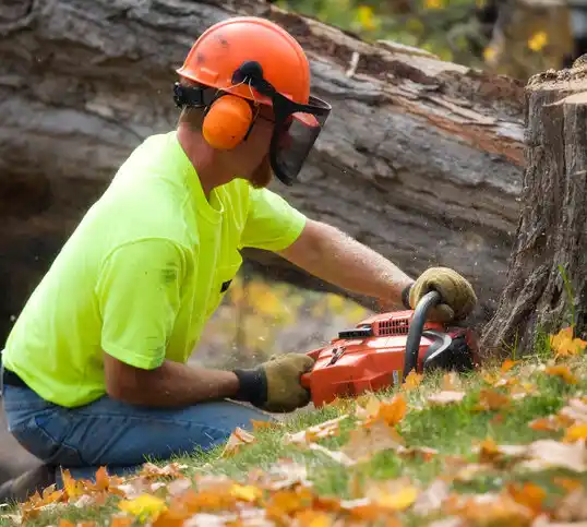 tree services Peapack and Gladstone